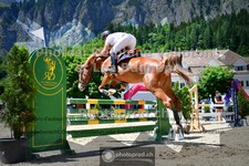 ref. photo 3711138