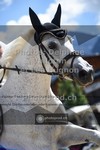 ref. photo 3711161