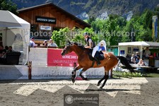 ref. photo 3711234
