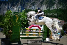 ref. photo 3711315