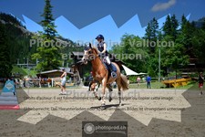 ref. photo 3711318