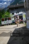 ref. photo 3711322