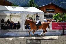 ref. photo 3711347