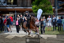 ref. photo 3711371