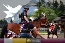ref. photo 3711417