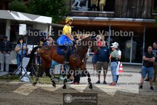 ref. photo 3711419