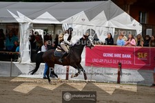 ref. photo 3711445