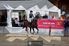 ref. photo 3711497
