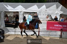 ref. photo 3711513