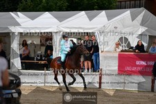 ref. photo 3711519