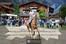 ref. photo 3711617