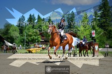 ref. photo 3711671