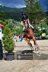 ref. photo 3711748