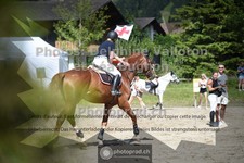 ref. photo 3711761