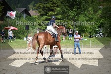 ref. photo 3711763
