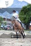 ref. photo 3711829