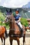 ref. photo 3712026