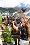 ref. photo 3712054