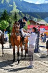 ref. photo 3712117