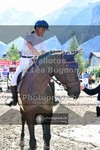 ref. photo 3712153