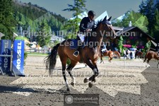 ref. photo 3713738