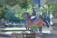 ref. photo 3713772