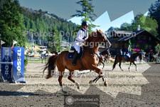 ref. photo 3713803