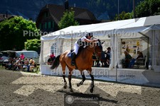 ref. photo 3713847