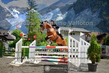 ref. photo 3714000