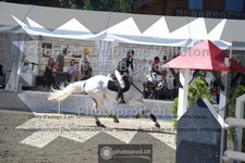 ref. photo 3714003