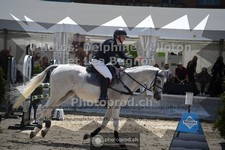 ref. photo 3714039