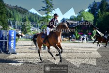 ref. photo 3714113