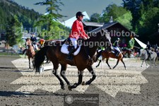 ref. photo 3714177