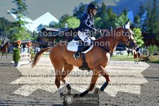 ref. photo 3714203