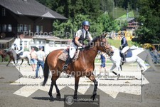 ref. photo 3714271