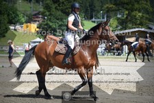 ref. photo 3714272