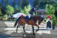 ref. photo 3714380