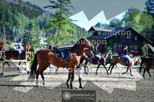 ref. photo 3714472