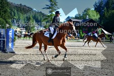 ref. photo 3714479