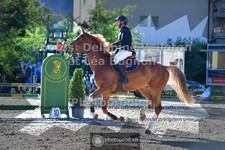 ref. photo 3714617