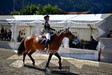 ref. photo 3714644