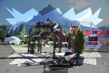 ref. photo 3714650