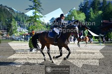 ref. photo 3714837