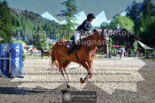 ref. photo 3714919