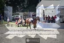 ref. photo 3714944