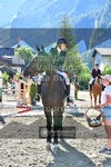 ref. photo 3715039
