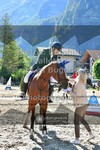 ref. photo 3715050