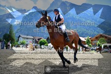 ref. photo 3715116