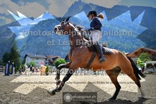 ref. photo 3715118