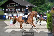ref. photo 3717007